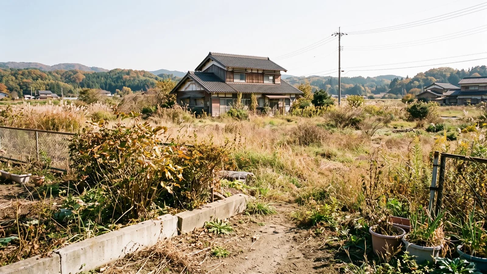 土壌の調査や地中の埋設物の確認が必要になりそうな、草の生い茂る広い敷地に建つ古い家屋を遠くから見渡した風景