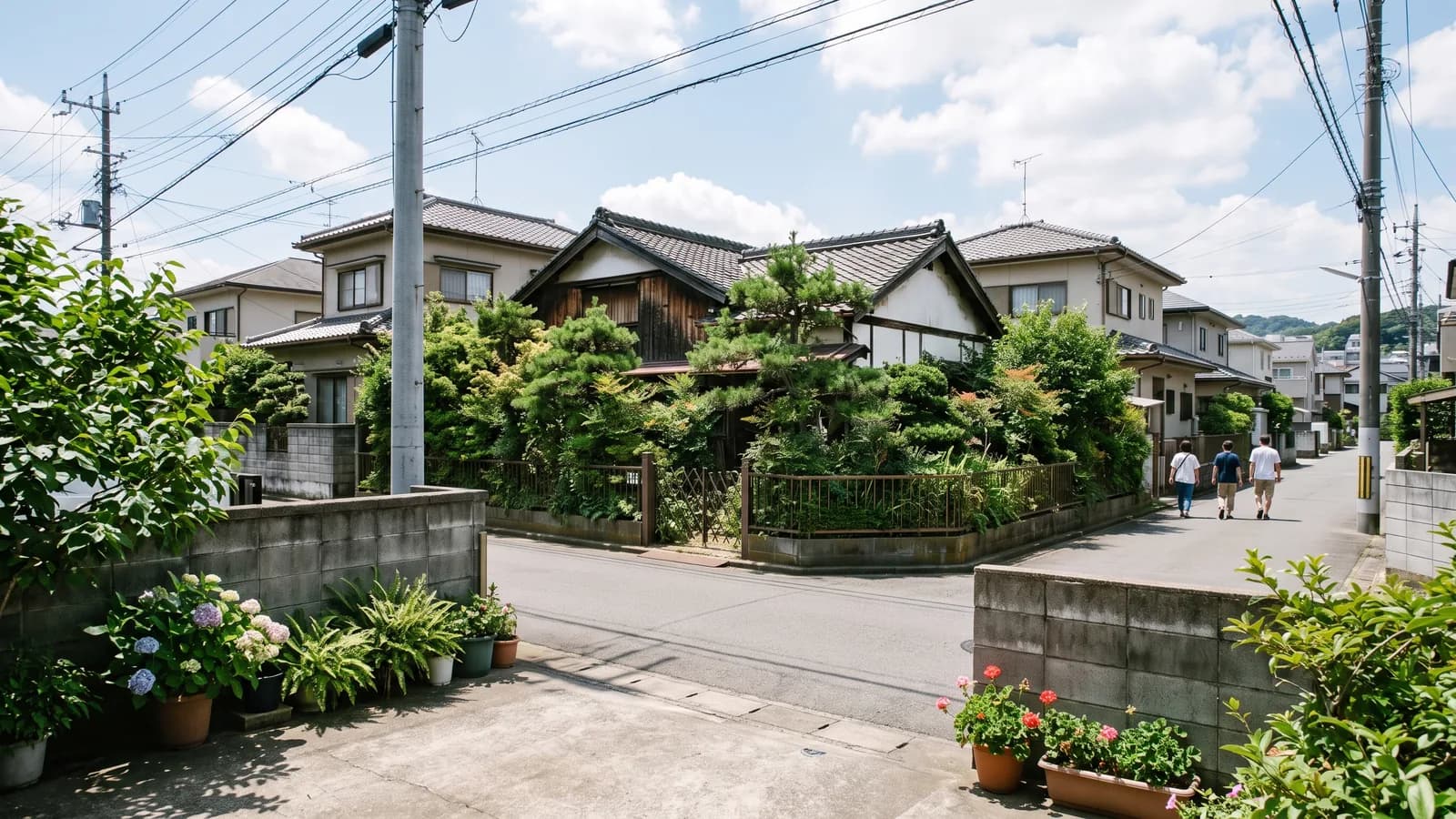 庭木が伸びた古い家を、道路の向かい側から周囲の街並みとともに広く見渡した構図